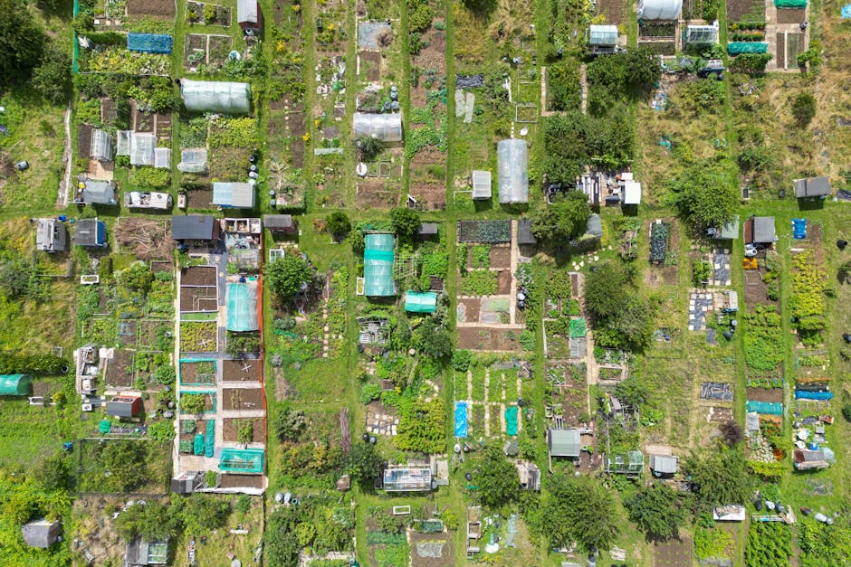 Community garden with volunteers planting vegetables